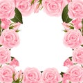 Pink Rose Flower Frame Border. isolated on White Background. Vector Illustration Royalty Free Stock Photo