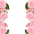 Pink Rose Flower Frame Border. isolated on White Background. Vector Illustration