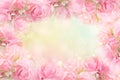 Pink rose flower frame on soft bokeh vintage background for valentine