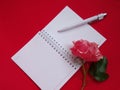 Pink rose flower and open notebook on magenta background