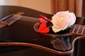 Pink rose flower and red hearts on the strings of a dark guitar.