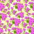 Pink rose flower seamless plant pattern vector Royalty Free Stock Photo