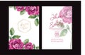 Pink rose flower wedding invitation Royalty Free Stock Photo