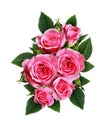 Pink rose flowers arrangement Royalty Free Stock Photo