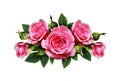 Pink rose flowers arrangement Royalty Free Stock Photo