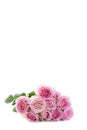 Pink rose flowers arrangement isolated on white ,vertical view, copy space on top Royalty Free Stock Photo