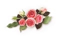 Pink rose flowers arrangement Royalty Free Stock Photo