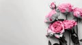 Pink rose flowers banner background