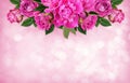 Pink rose flowers in a border floral arrangement Royalty Free Stock Photo