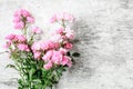 Pink rose flowers bouquet on white rustic wooden background Royalty Free Stock Photo