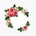 Pink rose flowers and buds arrangement on white circle card Royalty Free Stock Photo