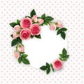 Pink rose flowers and buds arrangement on white circle card Royalty Free Stock Photo