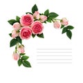 Pink rose flowers and buds corner arrangement Royalty Free Stock Photo