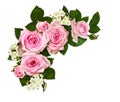 Pink rose flowers and buds in a corner arrangement isolated on white background Royalty Free Stock Photo