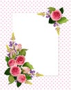 Pink rose flowers and buds corner arrangements and a card Royalty Free Stock Photo