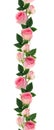 Pink rose flowers and buds line arrangement