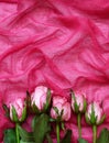 Pink rose flowers on folded textile