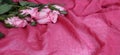 Pink rose flowers on folded textile