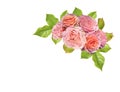 Pink rose flowers and green leaves in a floral corner arrangement isolated on white background Royalty Free Stock Photo