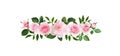Pink rose flowers in a line arrangement Royalty Free Stock Photo