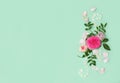 Pink rose flowers with white petals on green background. Rose flowers floral frame with copy space. Wedding or greeting card with Royalty Free Stock Photo