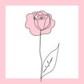 Pink rose in frame isolated on white background, flat vector design eps 10 Royalty Free Stock Photo