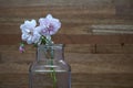 Pink rose in glass vase Royalty Free Stock Photo