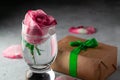 Pink rose in a glass of water, rose petals and a box with a gift on the table Royalty Free Stock Photo