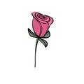 Pink Rose. Hand drawn. Valentines day. Love. vector.