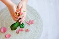 The pink rose in hand and rose petals Royalty Free Stock Photo