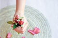 The pink rose in hand and rose petals Royalty Free Stock Photo