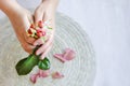 The pink rose in hand and rose petals Royalty Free Stock Photo