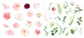 Pink rose, hydrangea, dahlia, white peony, camellia, ranunculus, spring garden flowers Royalty Free Stock Photo