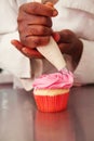 Pink rose icing being piped onto a cupcake vertical Royalty Free Stock Photo