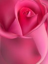 Pink rose macro. EPS 10 Royalty Free Stock Photo