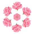 Pink rose mandala decorative embellishment