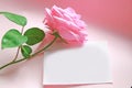 Pink rose message