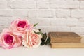 Pink Rose Mock Up. Styled Stock Photography. Floral Frame, Styled Wall Mock Up. Rose Flower Mockup, Old Books, Valentine Mothers D Royalty Free Stock Photo