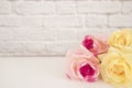 Pink Rose Mock Up. Styled Stock Photography. Floral Frame, Styled Wall Mock Up. Rose Flower Mockup, Valentine Mothers Day Card, Gi Royalty Free Stock Photo