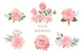 pink rose object element set with leaf.illustration vector for postcard,sticker Royalty Free Stock Photo