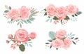 pink rose object element set with leaf.illustration vector for postcard,sticker Royalty Free Stock Photo