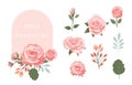 pink rose object element set with leaf.illustration vector for postcard,sticker Royalty Free Stock Photo