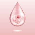 Pink rose oil drop with lights, glares and shadows. Shiny perfume water dew. Aromatherapy sign.