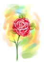 Pink rose painting with smooth colors