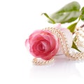 Pink rose and pearl beads. Royalty Free Stock Photo