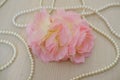 pink rose with pearl necklace on wood background, soft focus. Royalty Free Stock Photo