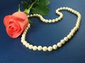 Pink rose and pearls Royalty Free Stock Photo