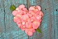 Pink rose petal heart with fern leaf Royalty Free Stock Photo