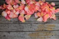 Pink rose petals on background of old wooden surface. Copy space Royalty Free Stock Photo