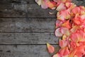 Pink rose petals on background of old wooden surface. Copy space Royalty Free Stock Photo